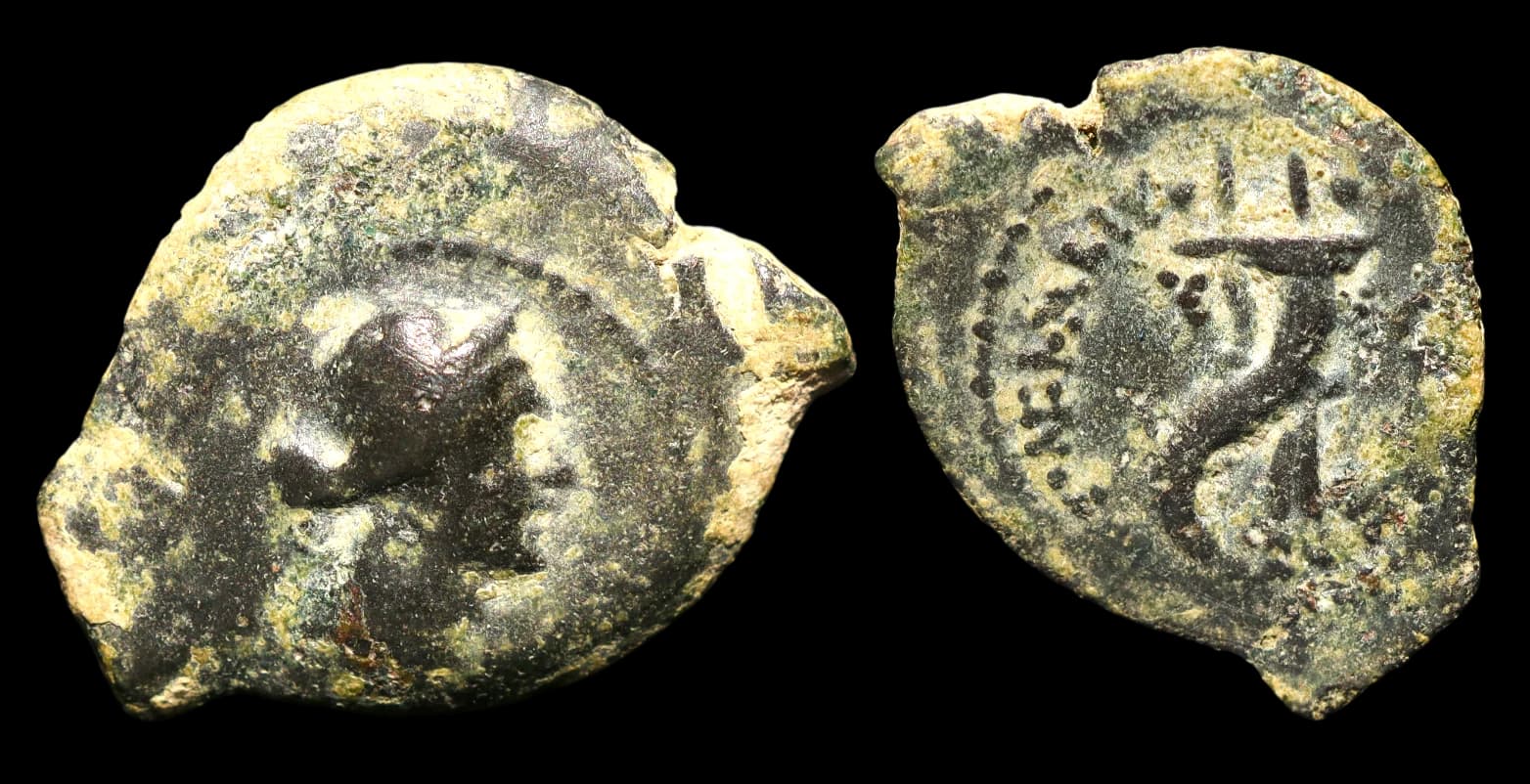 Cleópatra VII - Pafos