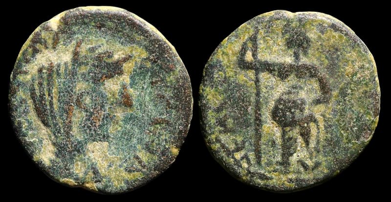 Bostra - Moeda Provincial Romana - 141 d.C