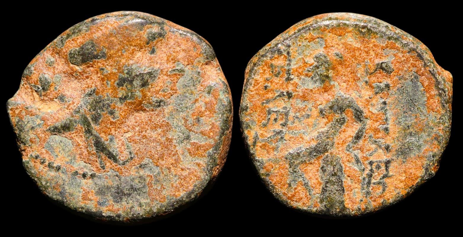 Seleuco III Sóter Cerauno - Antioquia do Orontes durante o reinado de Seleuco III - 226-223 a.C