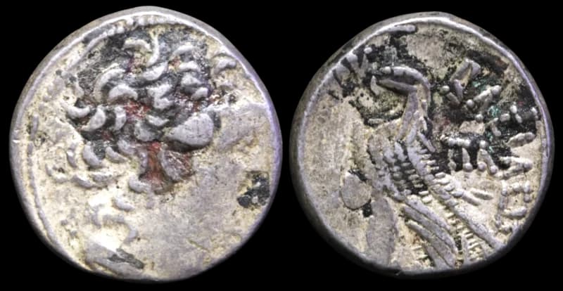 Reino Ptolemaico do Egito - Tetradracma - Alexandria - 116-101 a.C