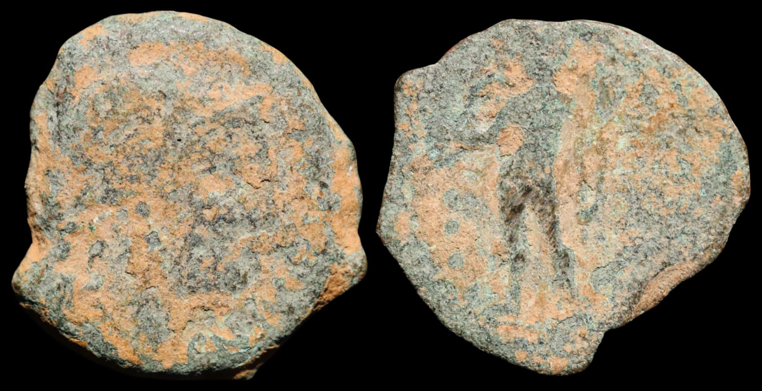 Júlio César - Córduba - Moeda Provincial Romana - 45-44 a.C