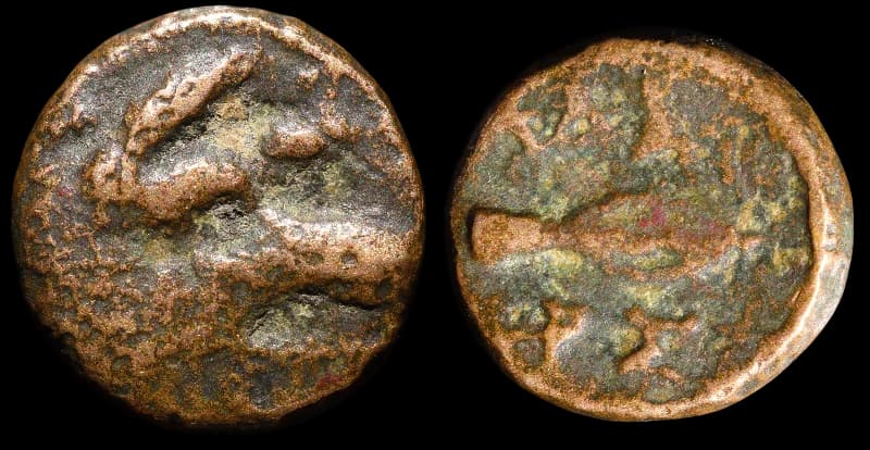 Reino Odrísio - Adaios - 253-243 a.C