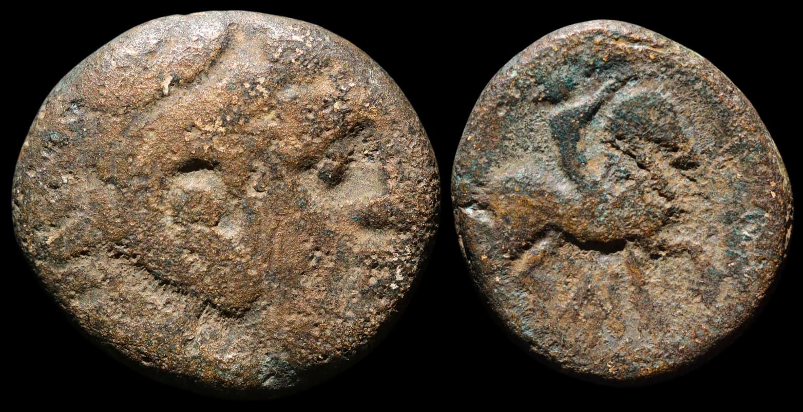 Cassandro - 305-298 a.C