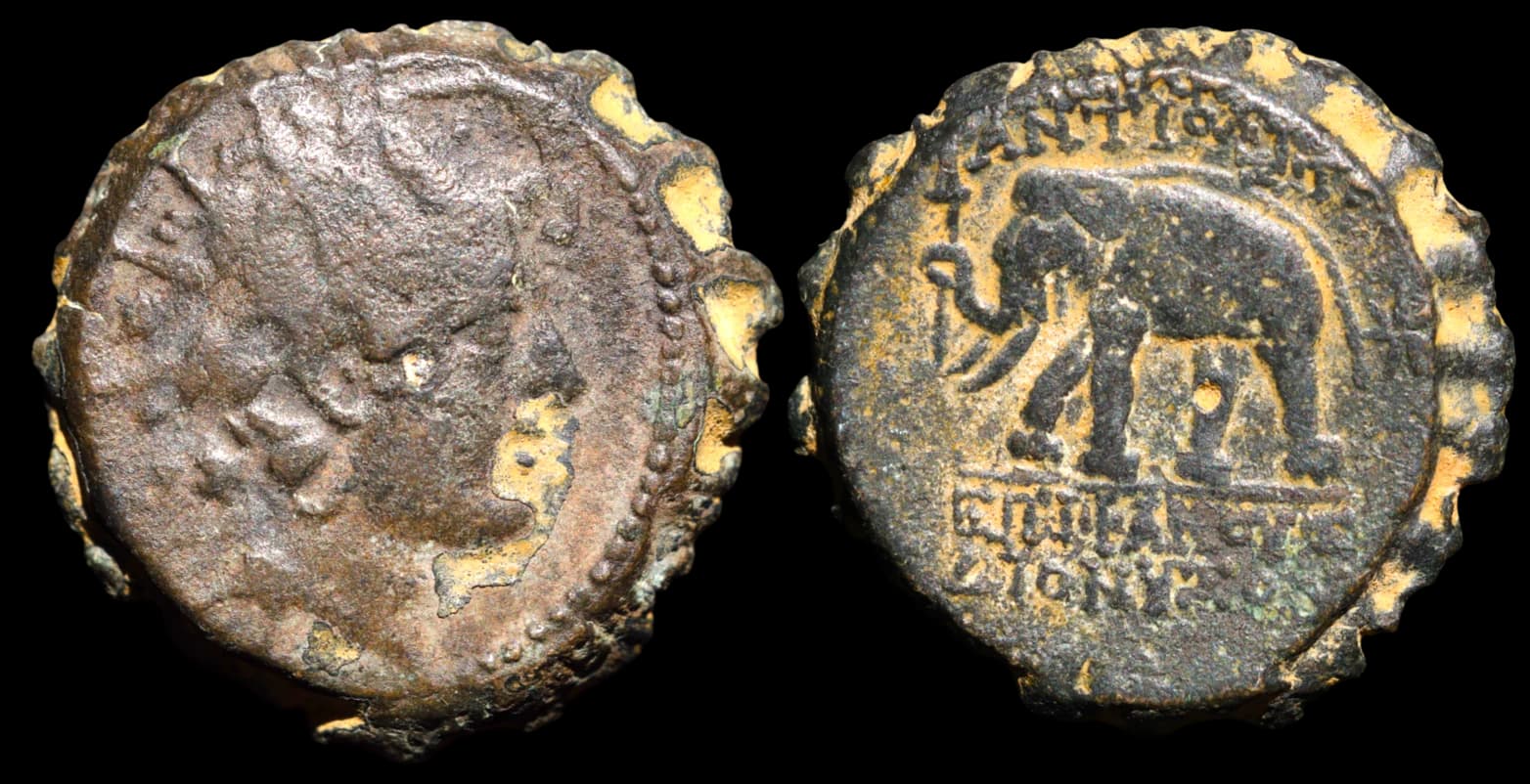 Antíoco VI Dioniso - Antioquia do Orontes - 144-142 a.C