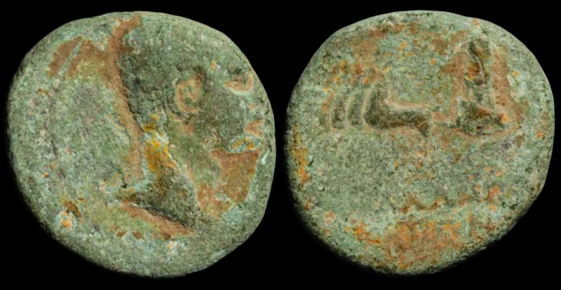 Selêucida e Pieria, Cláudia Leucas - Moeda Provincial Romana da Síria - As - 13-14 d.C