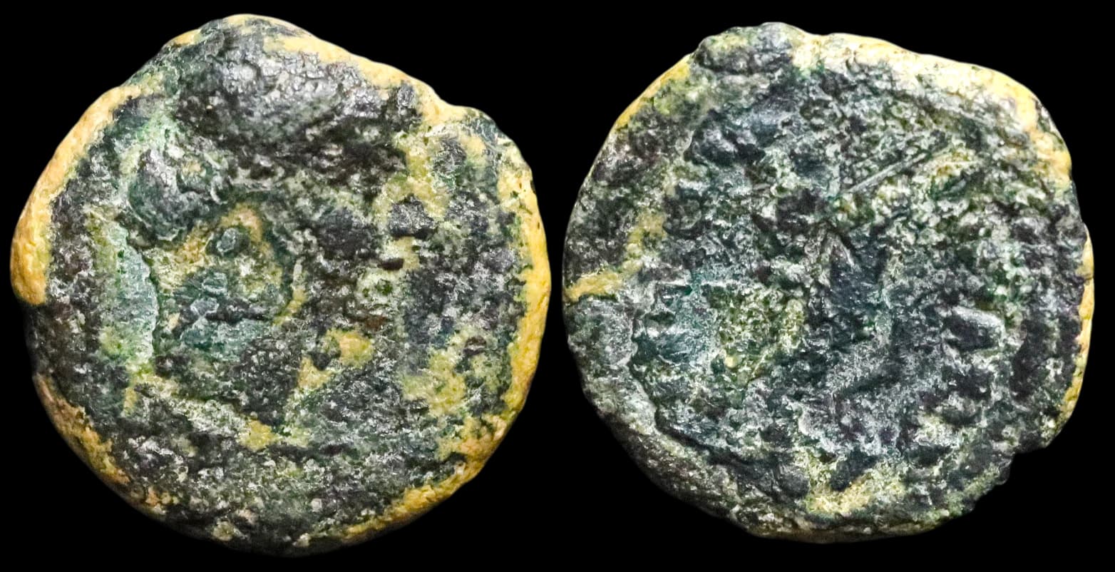 Cleópatra VII - Pafos