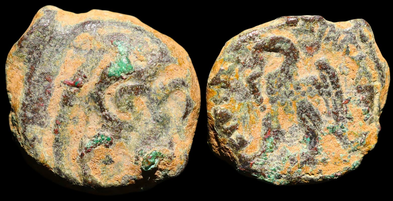 Cleópatra III e Ptolemeu IX Sóter II Látiro - Chalkous - Cirene - 116-107 a.C