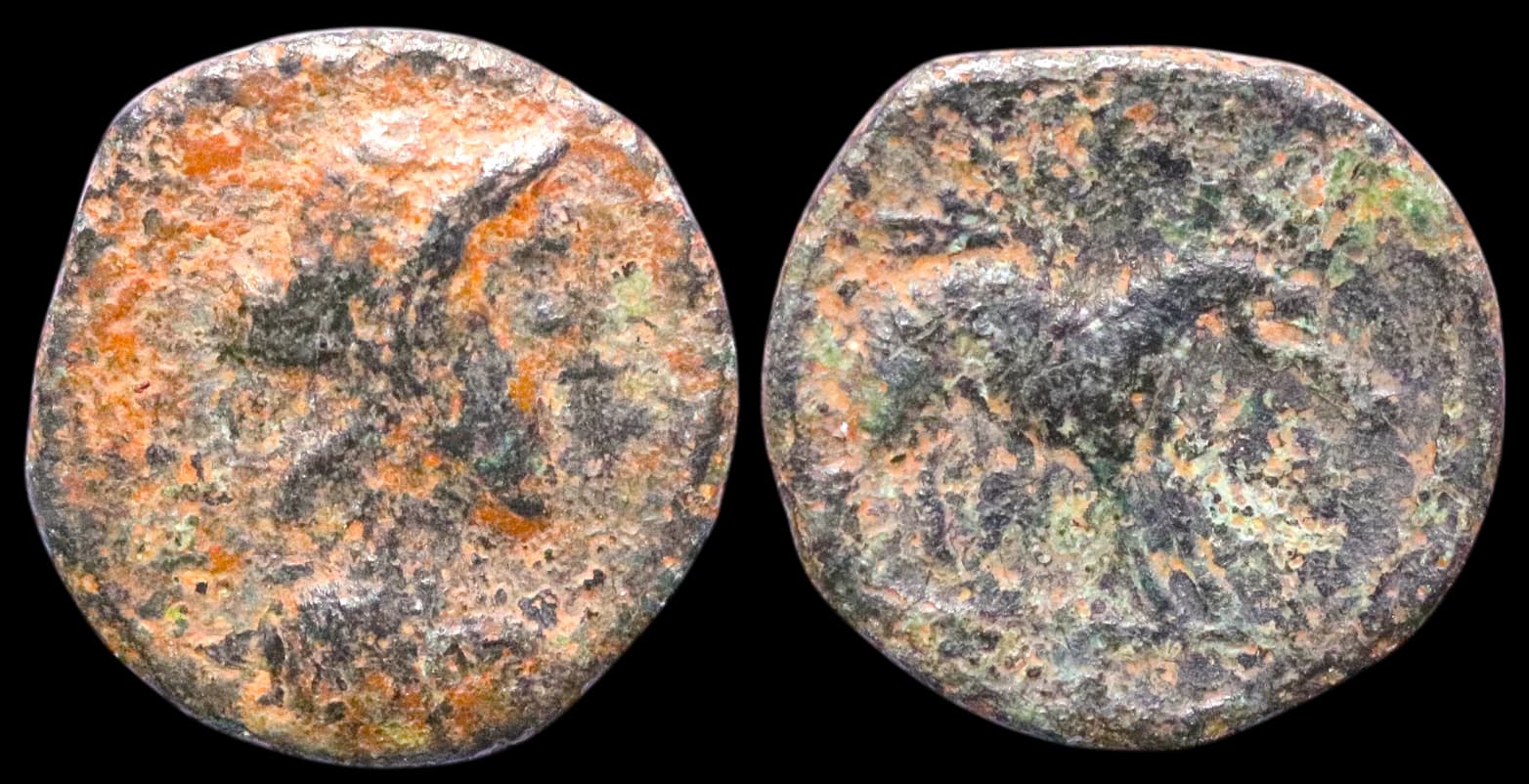 Judeia, Cesareia Marítima - Moeda Provincial Romana - Cesareia Marítima, atribuição proposta