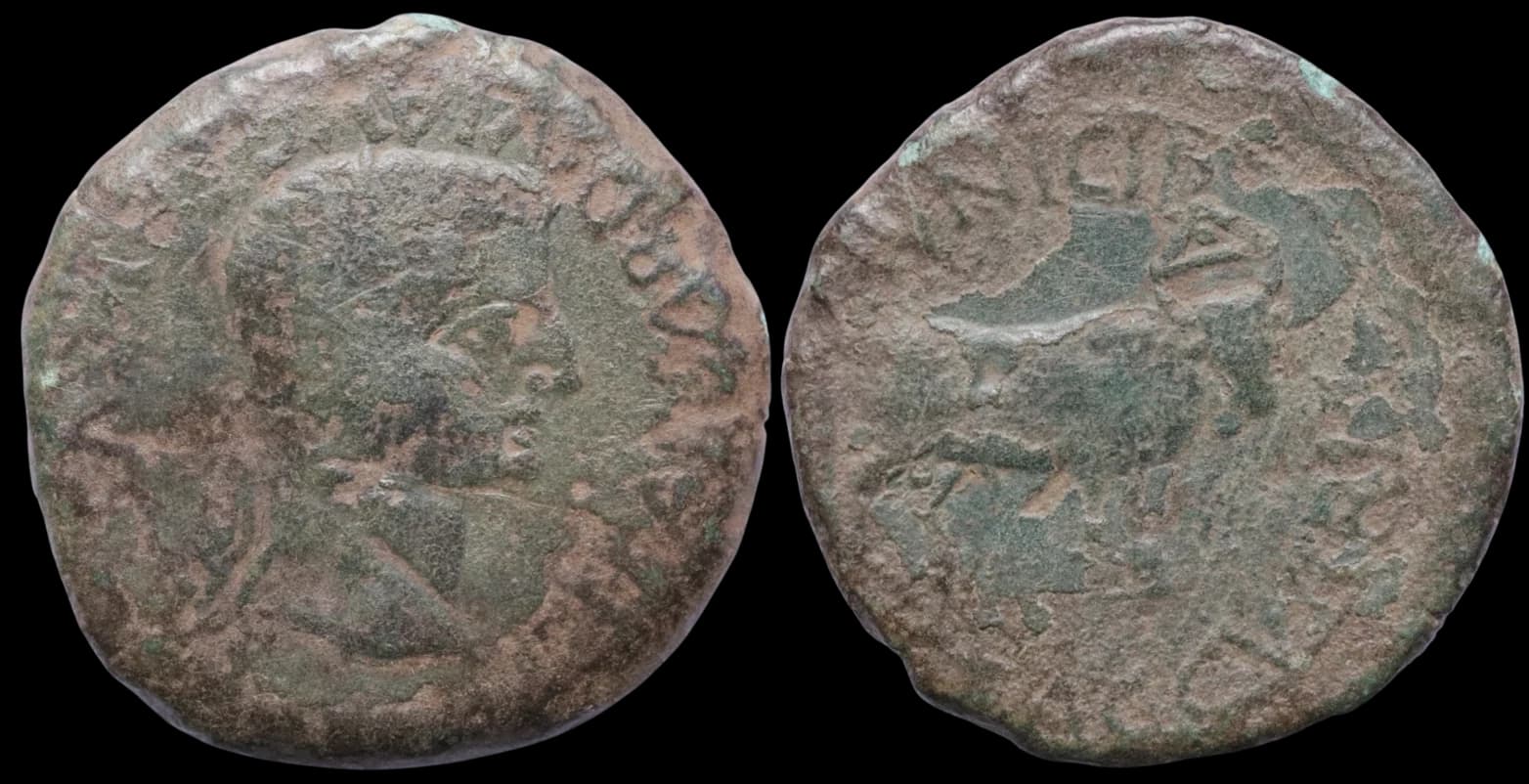Tibério, Gracurris - Moeda Provincial Romana - As - Gracurris, Tibério - 14-37 d.C