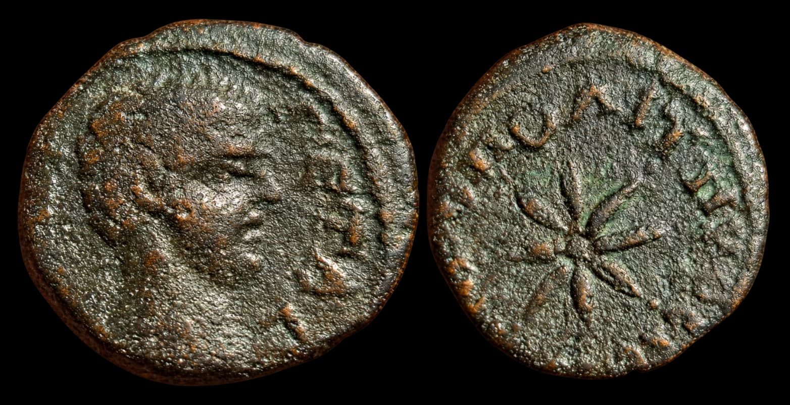 Mésia Inferior, Nicópolis ad Istrum - Moeda Provincial Romana (César, 198–209 d.C.) - AE - Nicópolis ad Istrum, Geta - 198-209 d.C