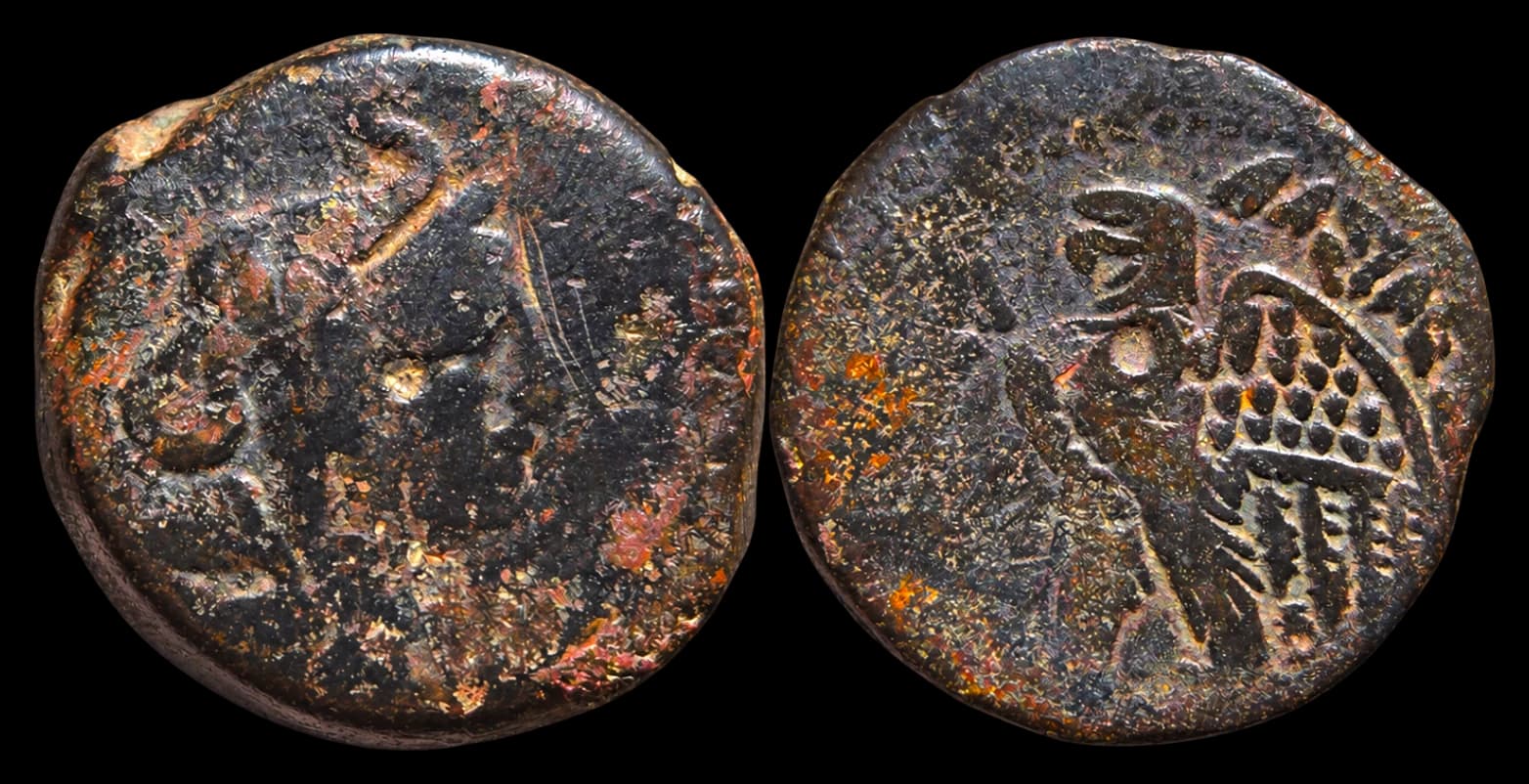Ptolomeu V ou VI - Reino Ptolemaico do Egito - Alexandria - 222-204 a.C