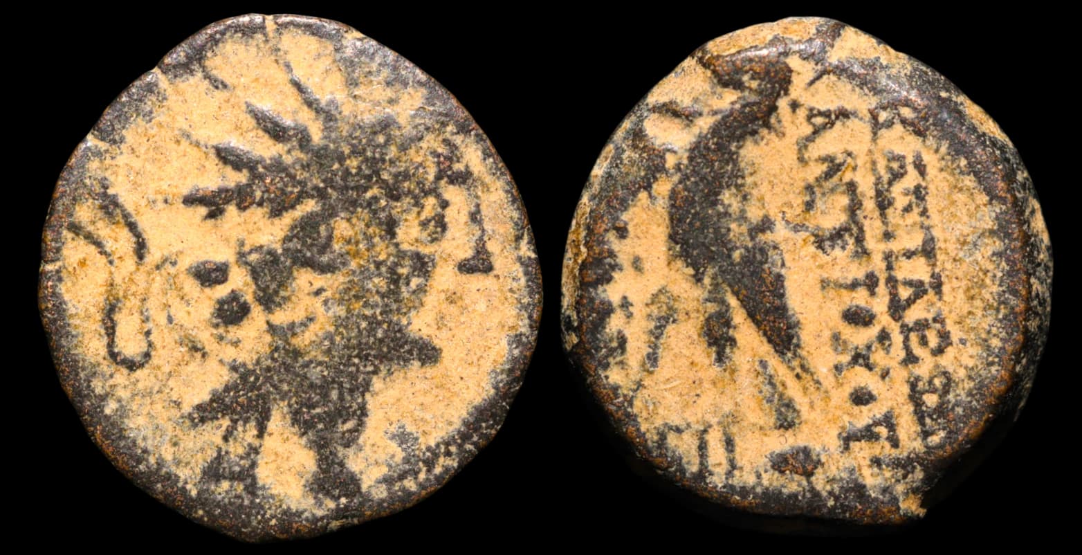 Antíoco VIII Epífanes Gripo - 121-97 a.C