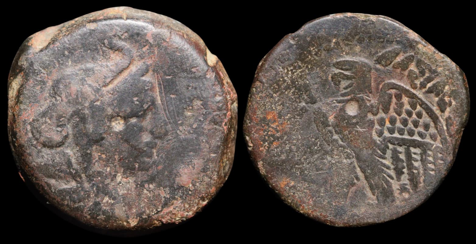 Ptolemeu V Epifânio - Alexandria entre cerca de 204 e 145 a - 145 a.C