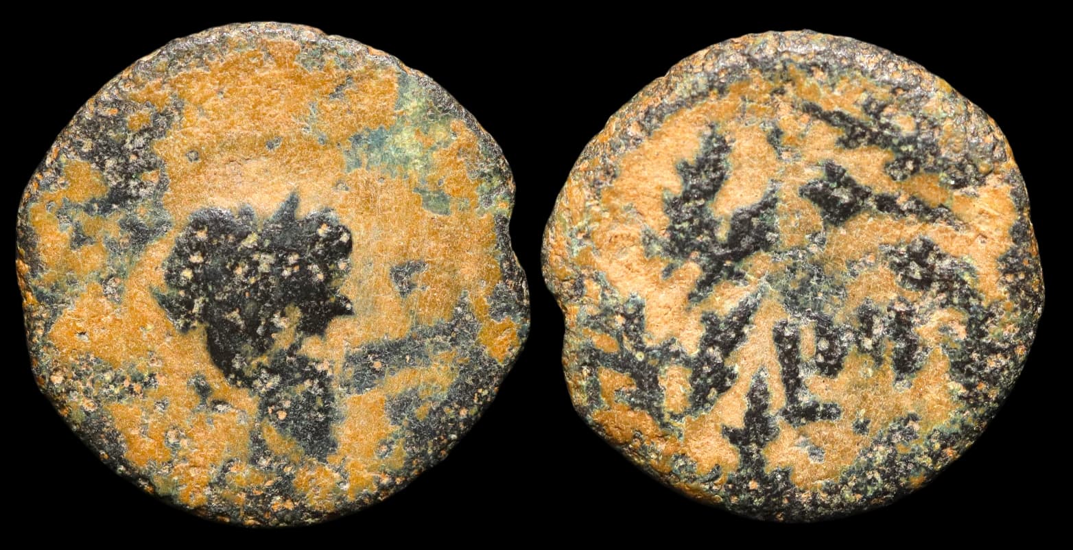 Augusto - Moeda Provincial Romana - Dichalkon - Alexandria no ano régio 40 - 11 d.C