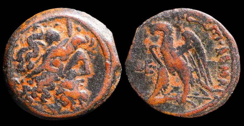 Ptolemeu VIII - oficina incerta de Chipre - 145-116 a.C